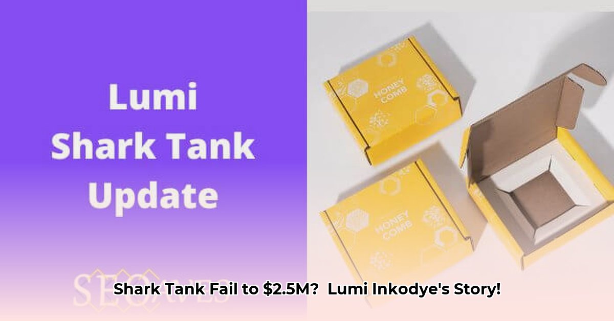 lumi-inkodye-net-worth